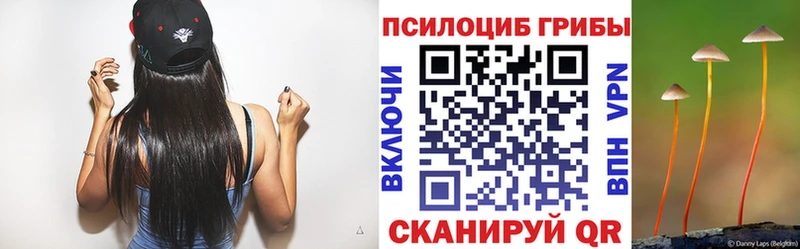 магазин  наркотиков  Йошкар-Ола  Галлюциногенные грибы прущие грибы 