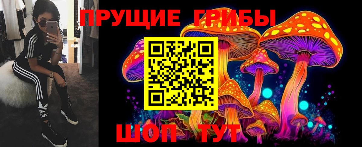 Галлюциногенные грибы Psilocybine cubensis Йошкар-Ола